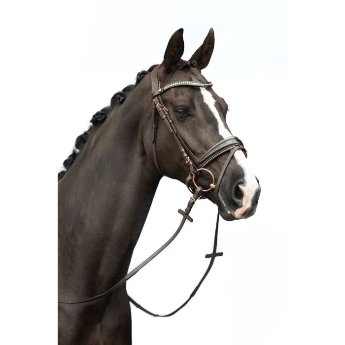 HKM Bridle - Sofia